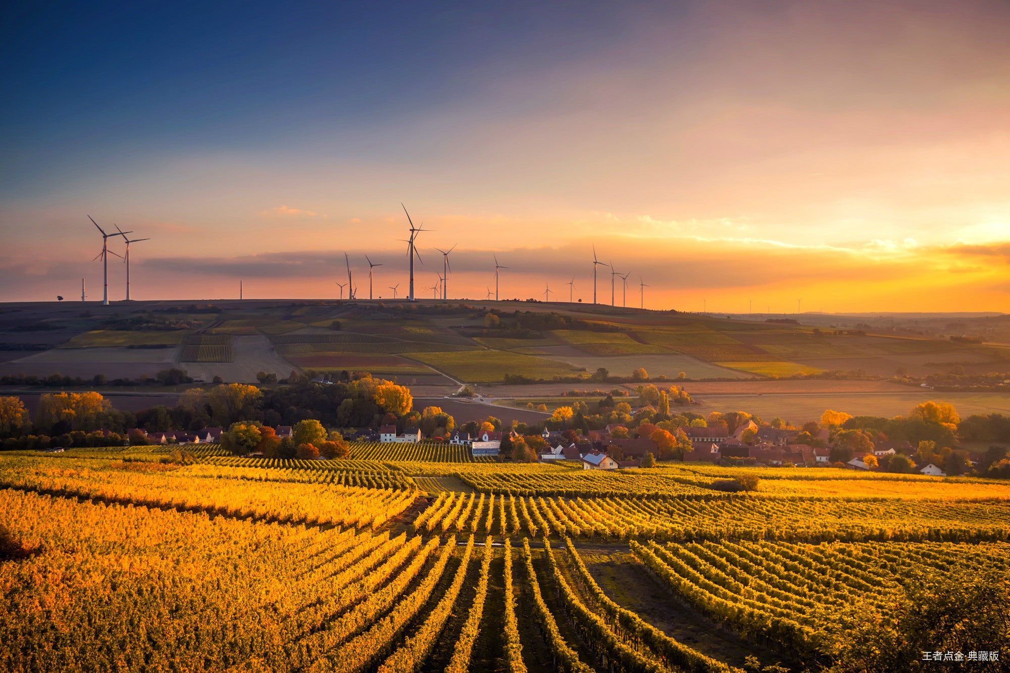 scenic-view-of-agricultural-field-against-sky-during-sunset-325944.jpg